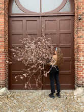 Laden Sie das Bild in den Galerie-Viewer, Flower Masterclass                                        Raum Installation