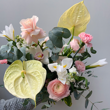 Laden Sie das Bild in den Galerie-Viewer, Pastel Lovers