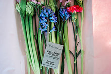 Laden Sie das Bild in den Galerie-Viewer, Love Letters - große Box