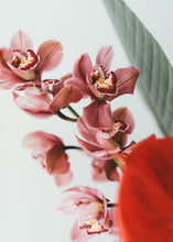 Laden Sie das Bild in den Galerie-Viewer, Orchid & Rose Lovers Bouquet