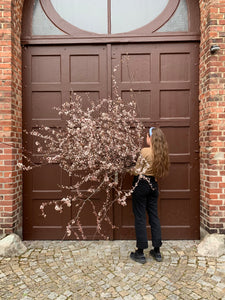 Flower Masterclass                                        Raum Installation