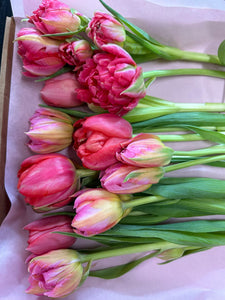 LOTS OF LOVE AROUND - Tulpen & Kunst für den guten Zweck