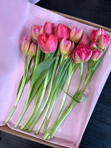 LOTS OF LOVE AROUND - Tulpen & Kunst für den guten Zweck