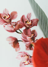 Laden Sie das Bild in den Galerie-Viewer, Orchid &amp; Rose Lovers Bouquet
